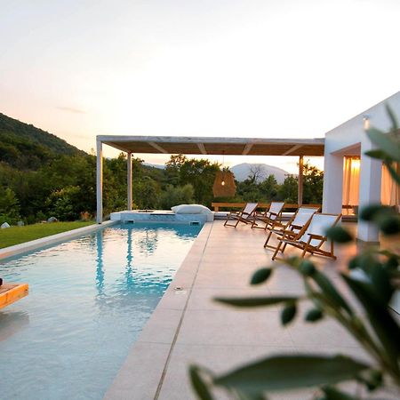 Aristotelia Gi - Premium Luxury Villas With Private Pools Olympiada Eksteriør billede